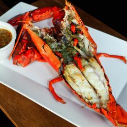 Canadian Lobster with Seafood Sauce Canadian Lobster with Seafood Sauce